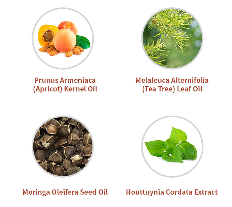 MISSHA Super Off Cleansing Oil Blackhead Off 305ml MISSHA