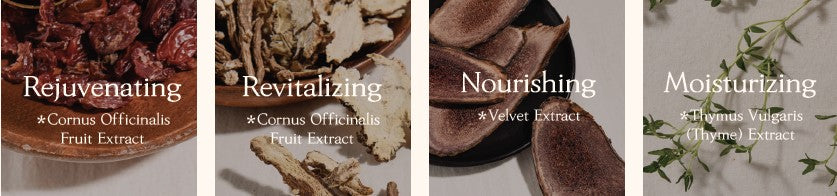 CHOGONGJIN Geumsul Jin Cream 60ml ChoGongJin