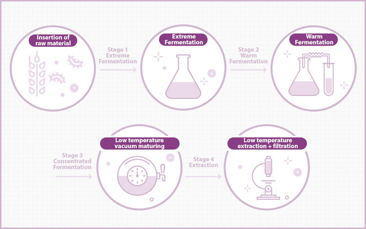 Free MISSHA Time Revolution Night Ampoule & Cream Duo Set N/A