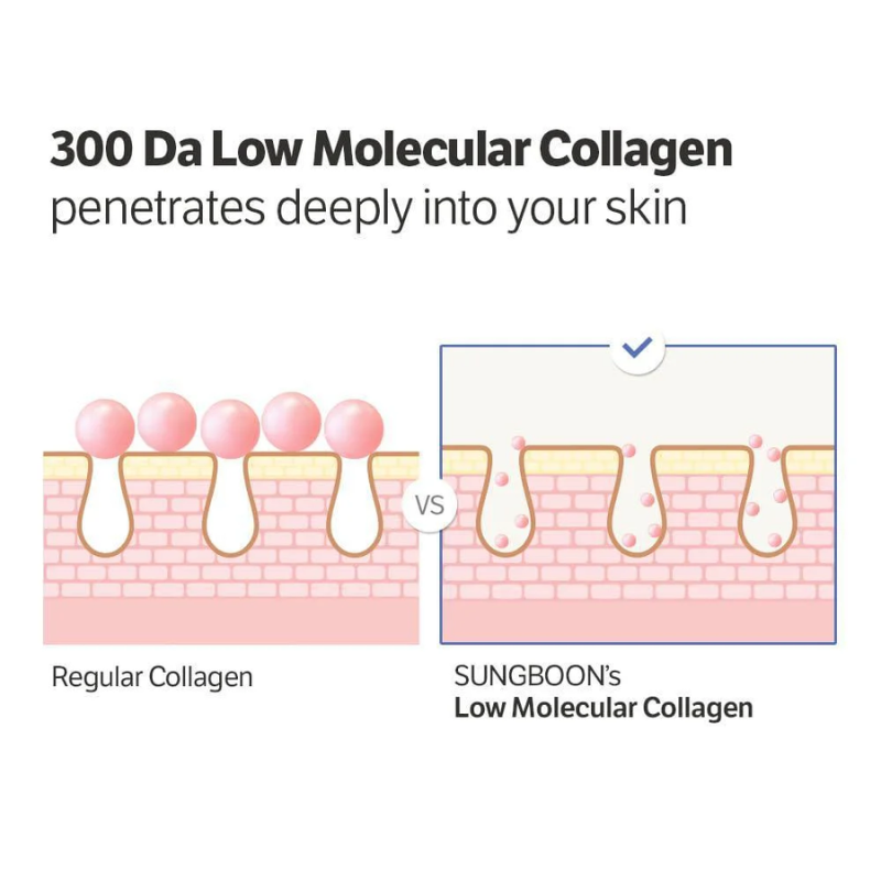 Sungboon Editor Deep Collagen Power Boosting Cream in Serum 30ml