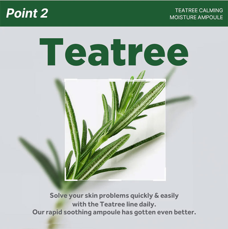 Mediheal Teatree Calming Moisture Ampoule 50ml